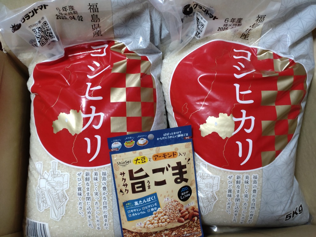 コシヒカリ 米 お米 10kg 令和6年産 福島県産コシヒカリ 白米