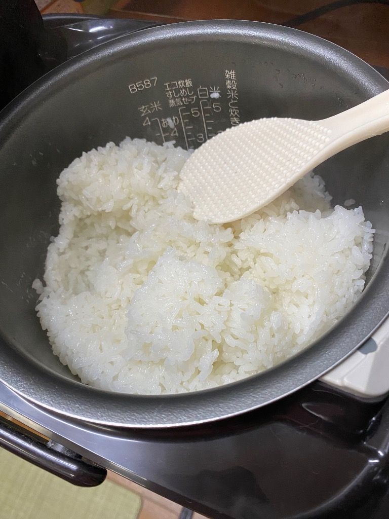 コシヒカリ 米 お米 10kg 令和6年産 福島県産コシヒカリ 白米