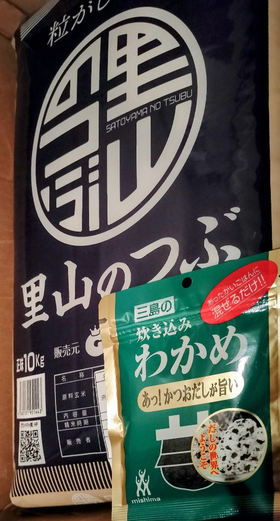 販売休止中】長期保存向け 米 30kg 令和6年産 福島県産里山の 販売休止中】長期保存向け 米 30kg 令和6年産 福島県産里山の