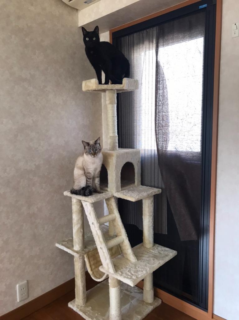 キャットタワー 据え置き型 猫タワー ネコ ハンモック 爪研ぎ