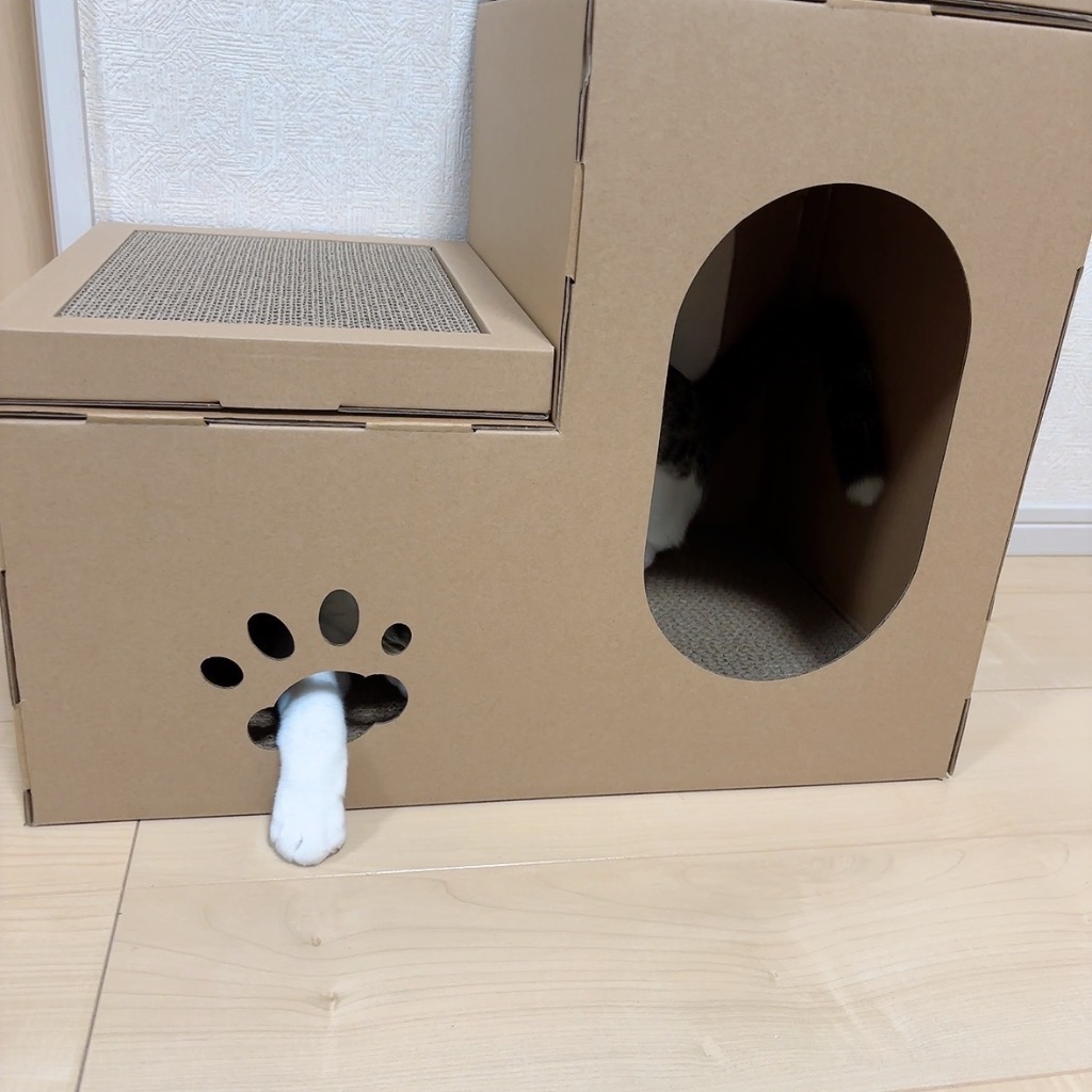 全体のレビュー画像 | 0-1