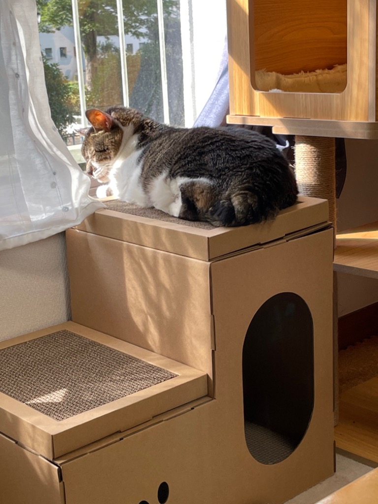 全体のレビュー画像 | 1-0