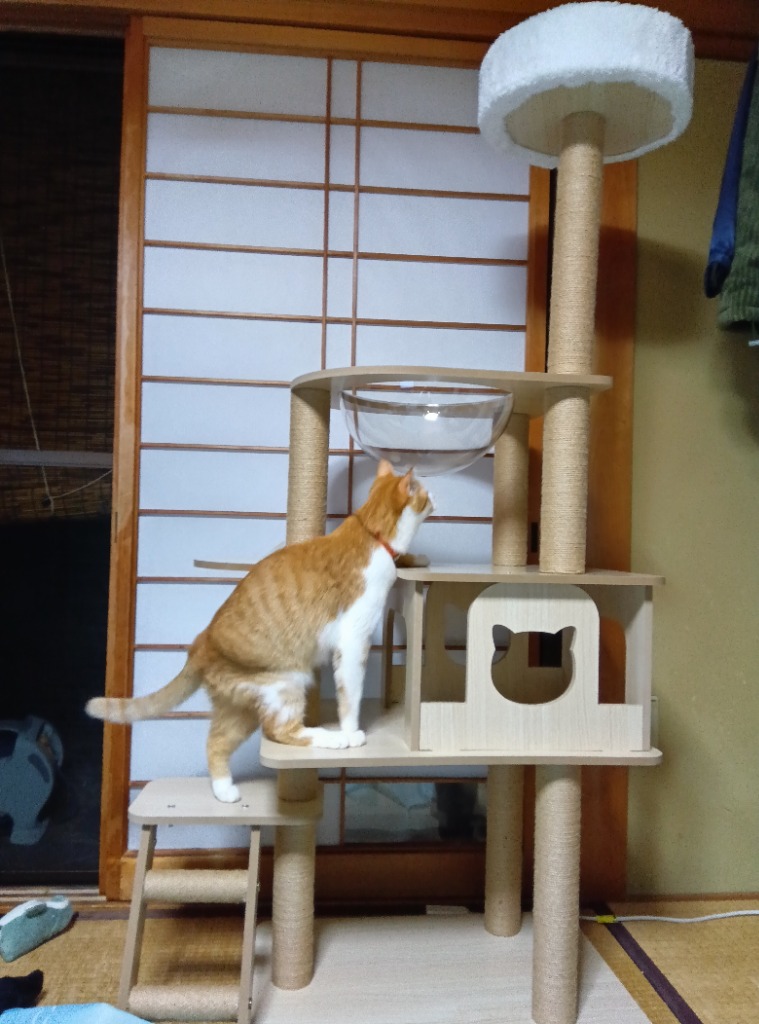 キャットタワー 木製 猫タワー 据え置き スリム 省スペース 爪とぎ 麻