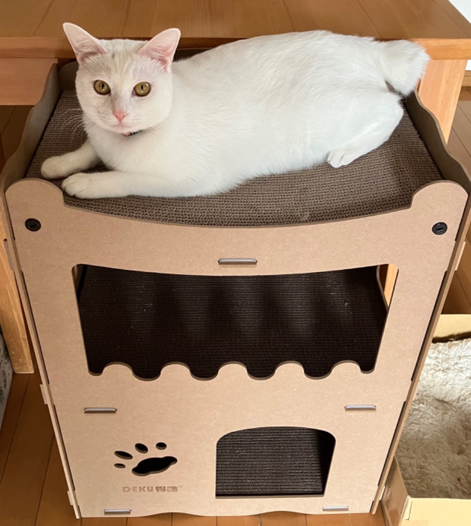 猫 爪とぎ ダンボール ハウス ベッド おしゃれ ケージ ネコ ボックス つ Amazon | Fkstyle 猫 爪とぎ ダンボール ハウス ベッド おしゃれ