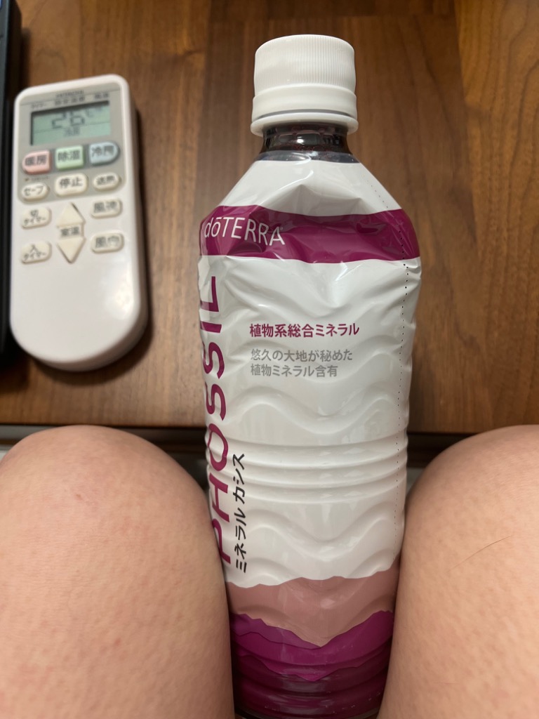 doTERRA ドテラ ミネラル カシス ＆ ピンクパイン 550ml×2本