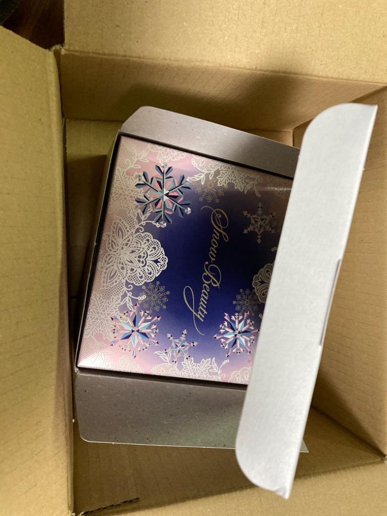 スノービューティーブライトニングスキンケアパウダー2025本体箱無し＆付属品付き SNOW BEAUTY 【送料無料 数量限定】資生堂 スノービューティー