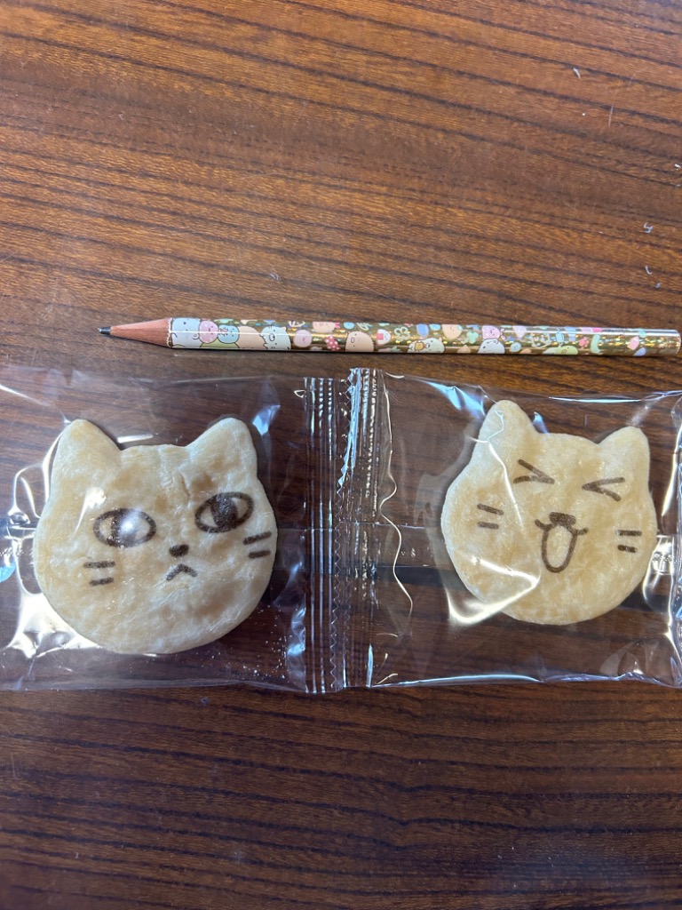 猫 お菓子 ねこせんべい 醤油味 20枚入り 1箱 ネコ 本場草加煎餅