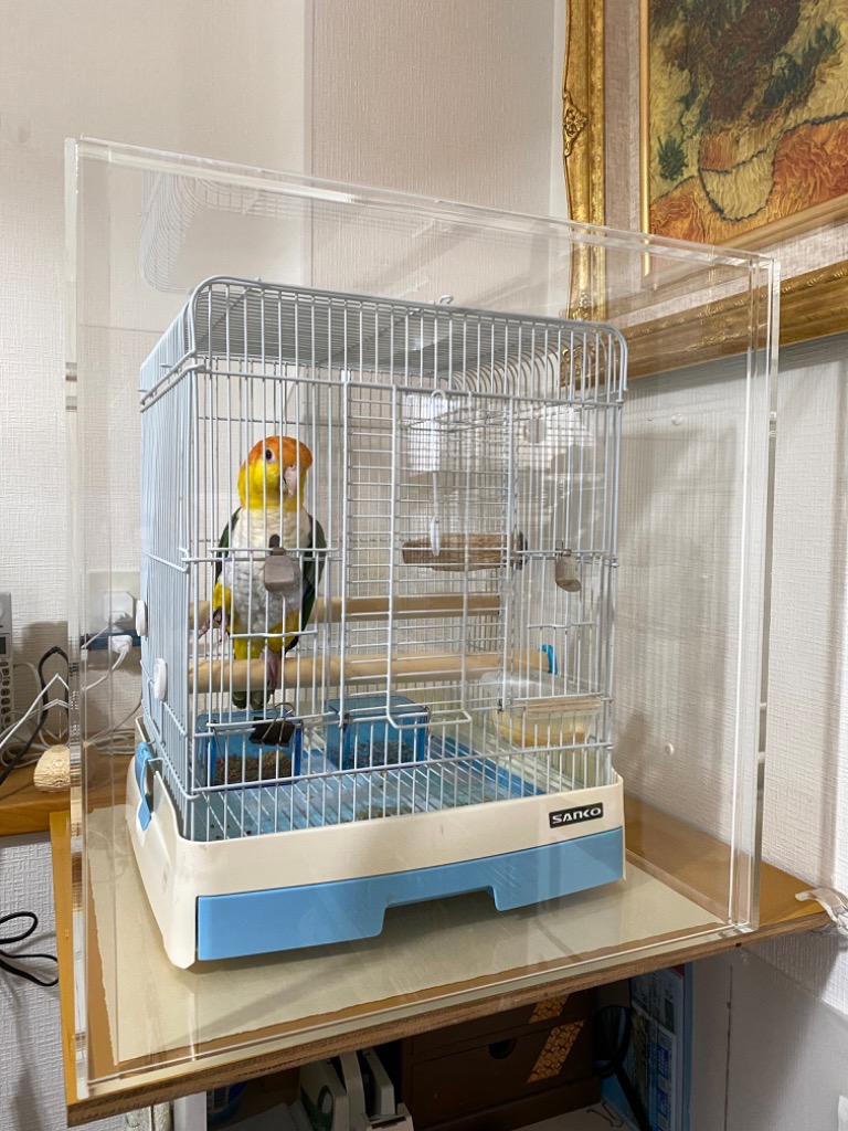 送料無料】 インコ、小動物用アクリルケース その他 - ankaraseramik.com