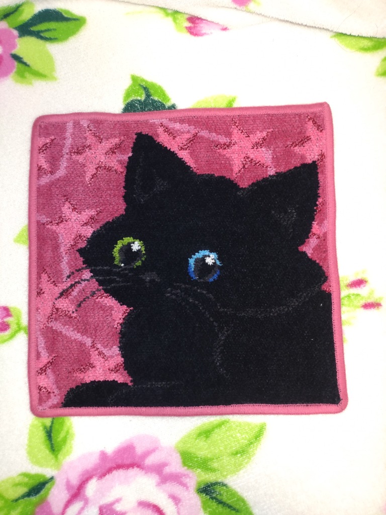 フェイラー猫ハンカチ2枚 feiler フェイラー ハンカチ ハンドタオル タオルハンカチ 25cm