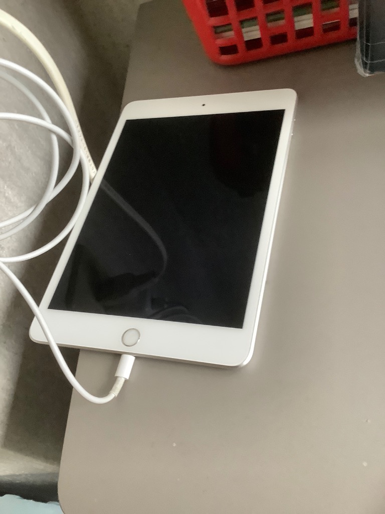 iPad mini 第5世代 64GB Apple Pencil付き iPad mini mini5 第5世代 7.9インチ Wi-Fi+Cellularモデル SIM