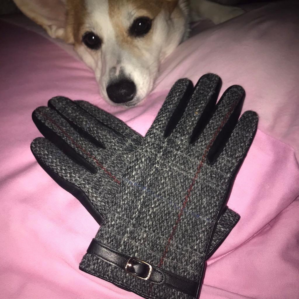 全体のレビュー画像 | 2-0