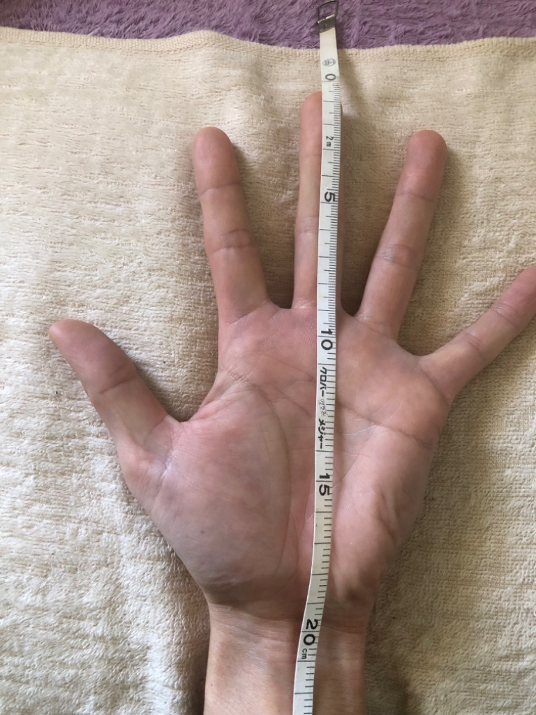 全体のレビュー画像 | 0-0