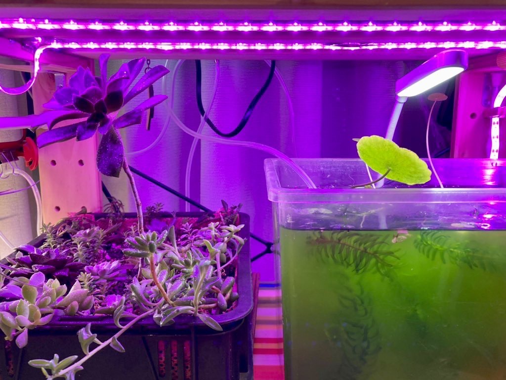 植物育成ライト led グローライト 成長 促進 LEDテープ 防水 USB対応