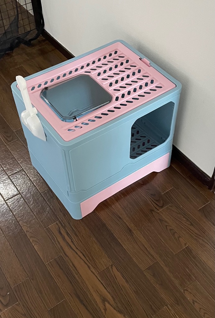 レビュー画像