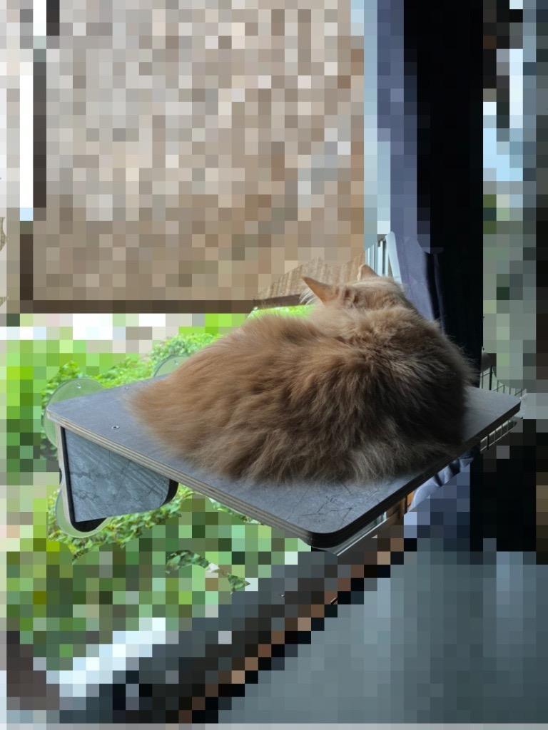 1件目のレビュー画像 | 0