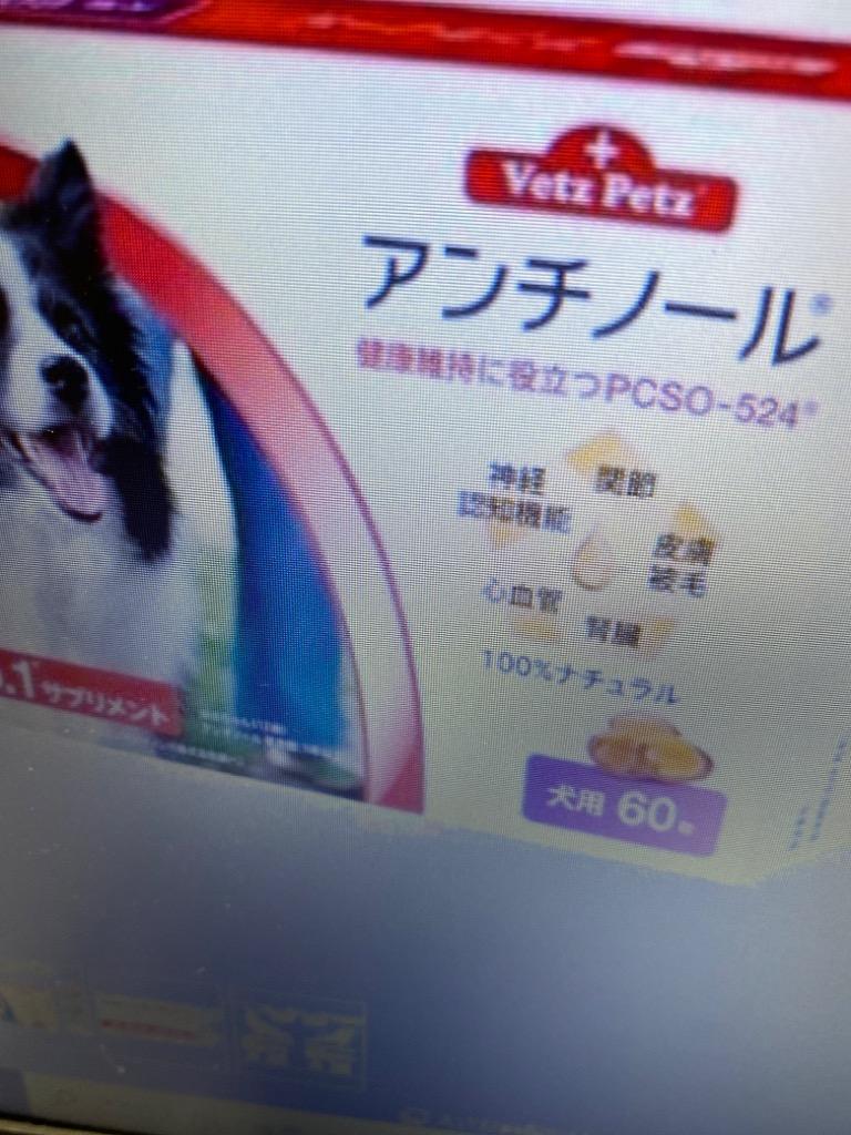リニューアル アンチノール プラス 犬用 60粒 健康 関節 腎臓 心