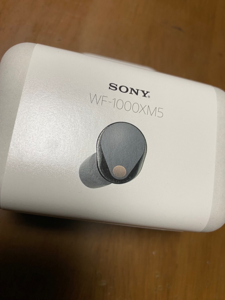 ソニー ワイヤレスノイズキャンセリングイヤホン WF-1000XM5