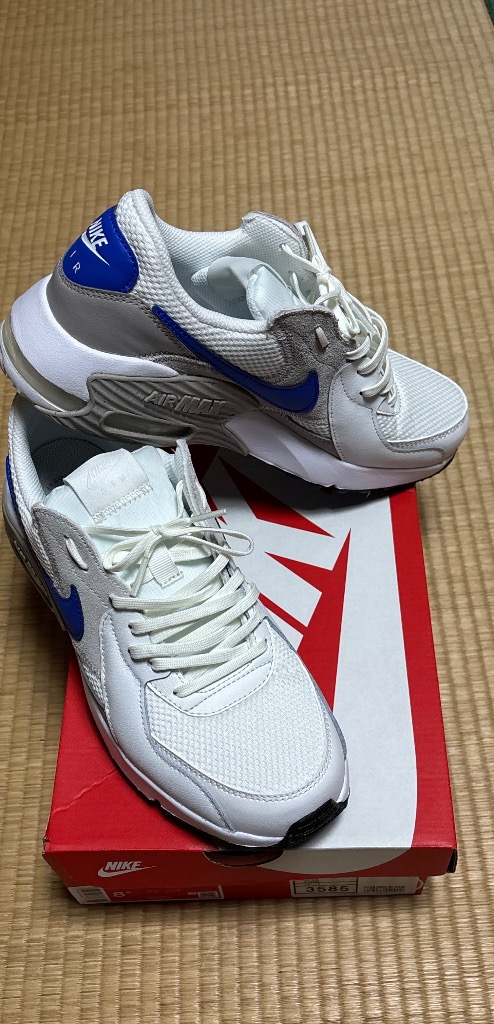 NIKE ナイキ エア マックス エクシー FZ5486-101 メンズ