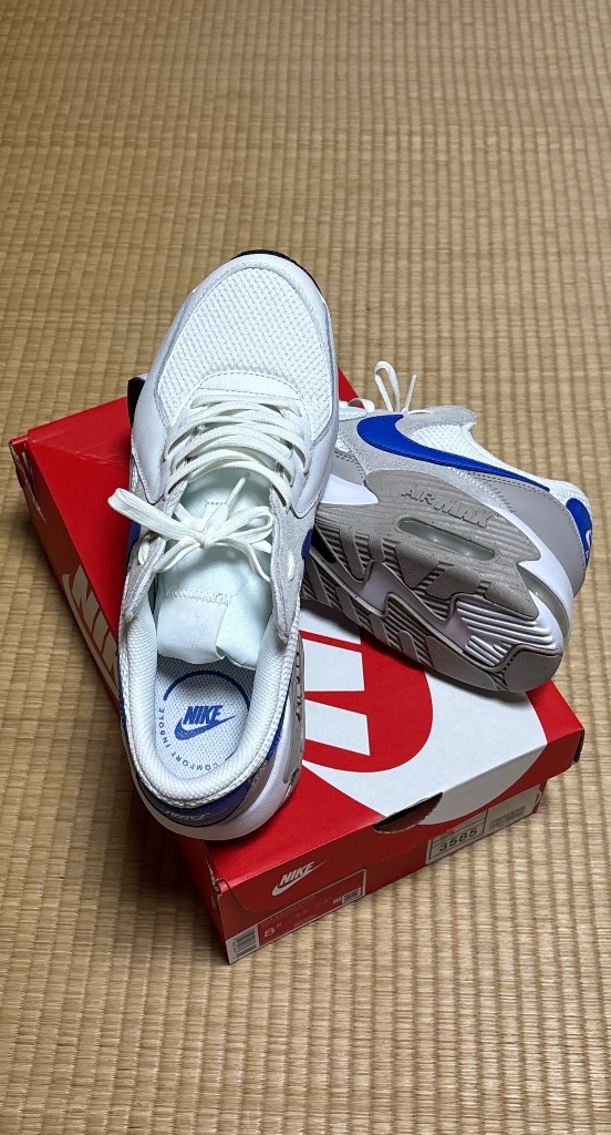 NIKE ナイキ エア マックス エクシー FZ5486-101 メンズ