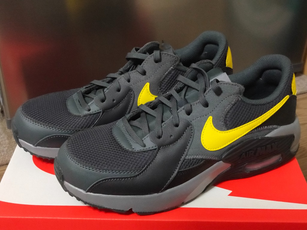 NIKE ナイキ エア マックス エクシー FZ5486-002 メンズ