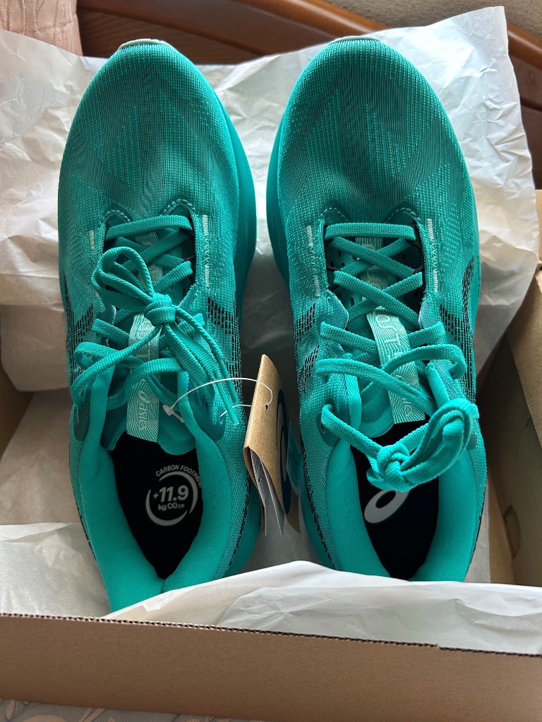 ASICS アシックス NOVABLAST 5 ノヴァブラスト5 1011B974 メンズ