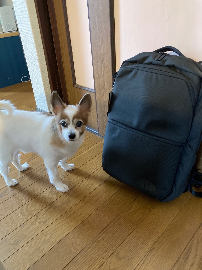 THE NORTH FACE（ザ ノースフェイス） 2026春夏 Shuttle Daypack
