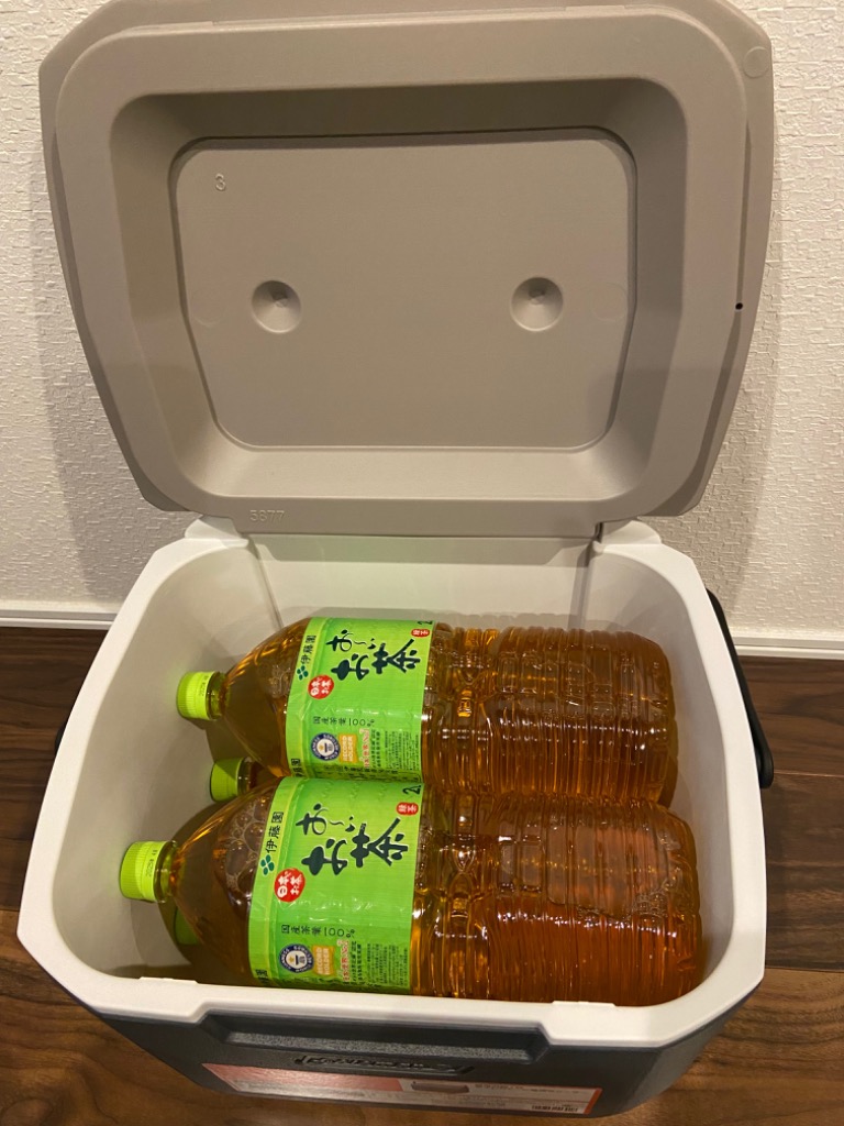 Coleman コールマン COOLER 16QT AP20 LIGHT GRAY JAPAN