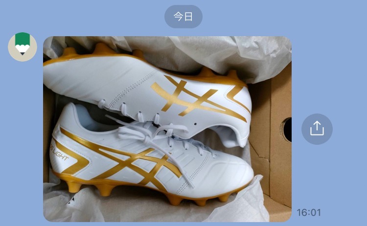 ASICS アシックス DS LIGHT(ホワイト×ゴールド) 1103A068 122