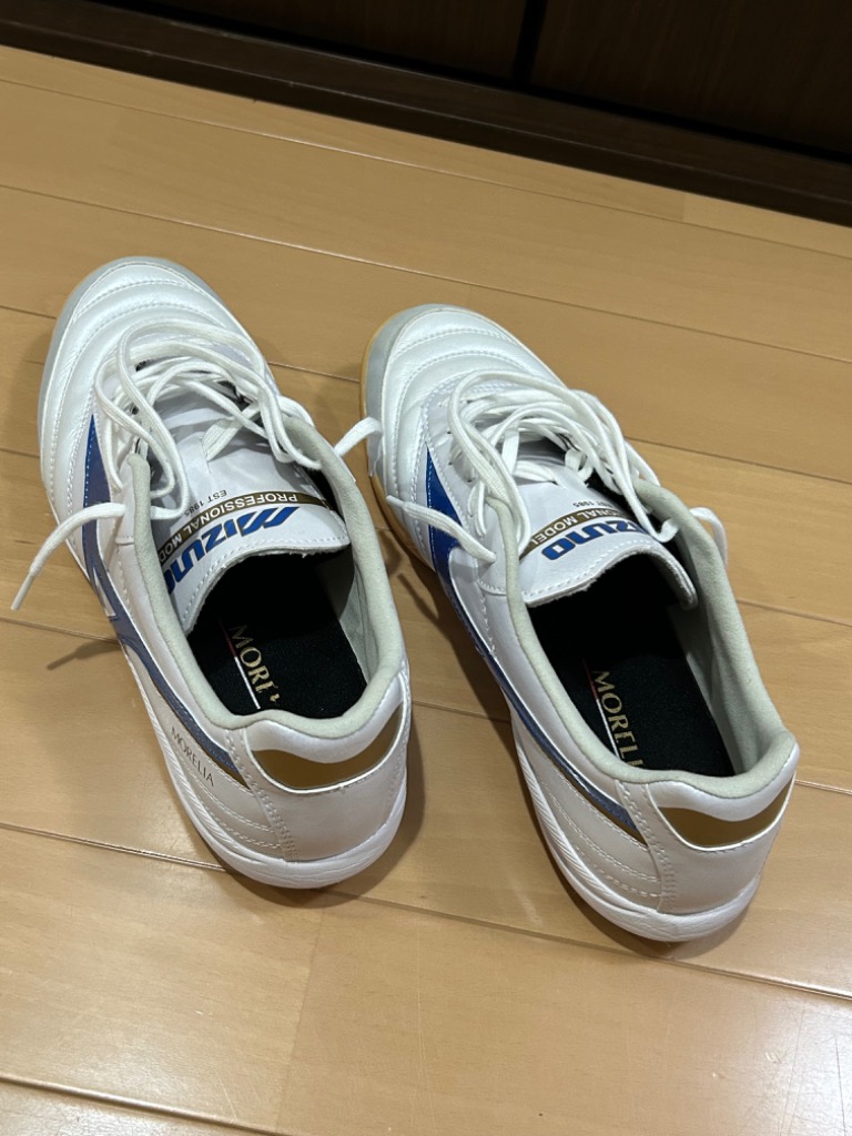 MIZUNO ミズノ MORELIA SALA PRO IN モレリアサラ プロ インドア