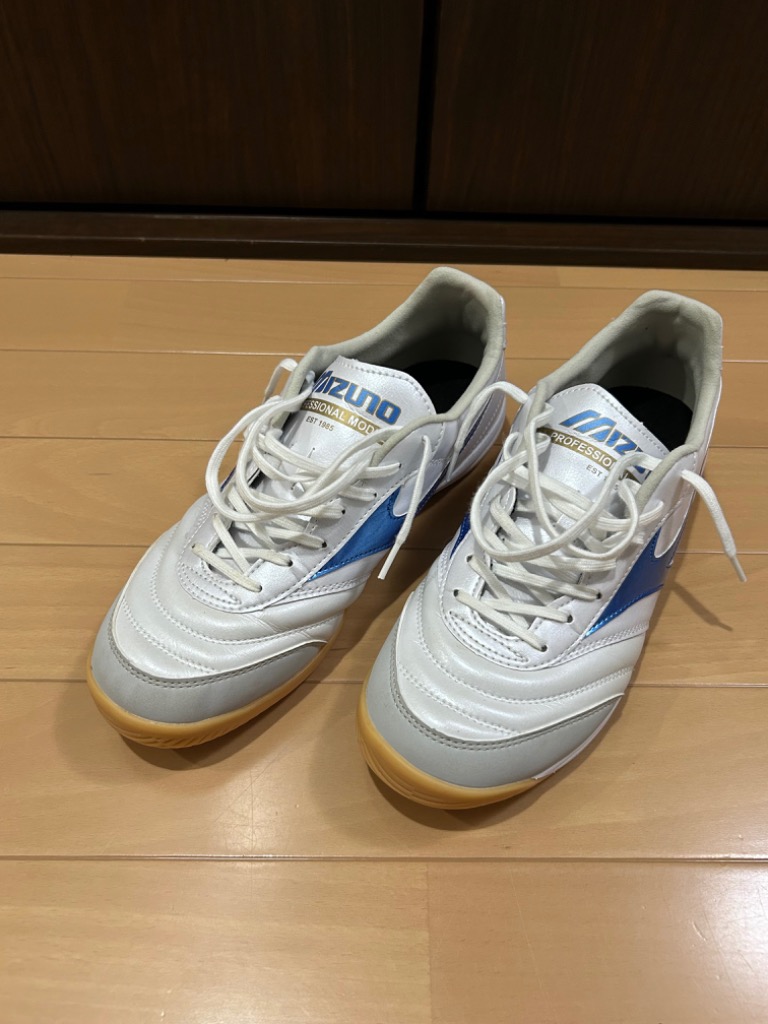 MIZUNO ミズノ MORELIA SALA PRO IN モレリアサラ プロ インドア