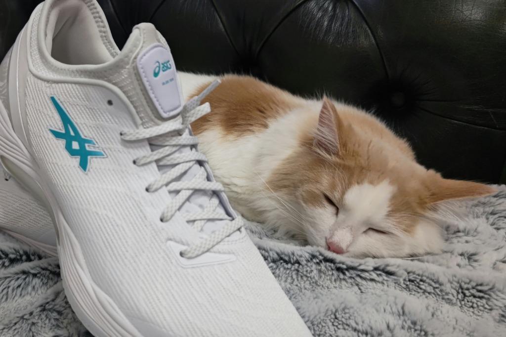 アシックス GLIDE NOVA FF 2 バスケットボールシューズ バッシュ ASICS 2022秋冬新色 アシックス メンズ バスケットボール