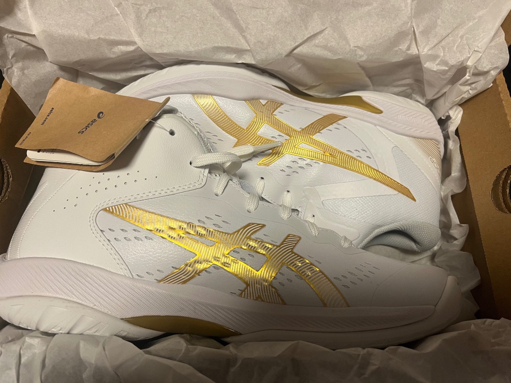 【数回使用程度】アシックス ゲルフープV16 限定カラー ゴールド バッシュ ASICS アシックス GELHOOP V16 ゲルフープ アルペン限定カラー