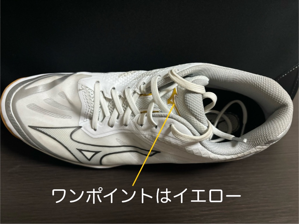 Mizuno ミズノフライ バレーボールシューズ 25㎝ MIZUNO ミズノ FLY ミズノフライ V1GA233009 メンズ レディス