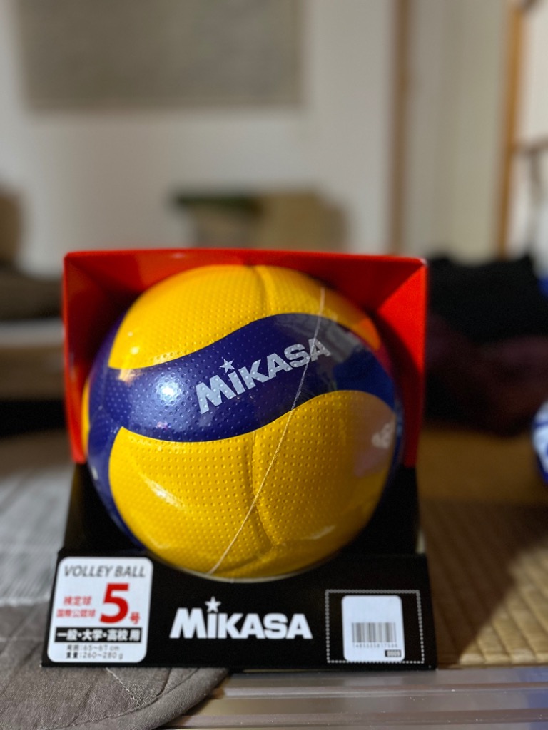 ミカサ バレー 5号球 国際公認球 V300W バレーボール 試合球 検定球 