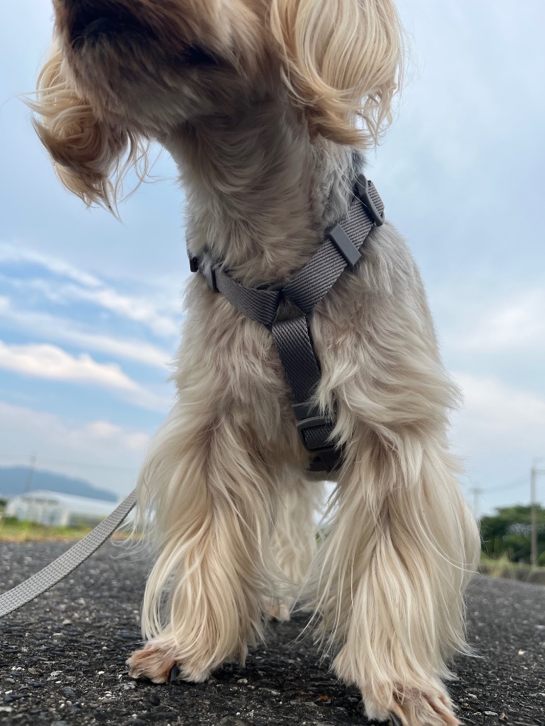 1件目のレビュー画像 | 0