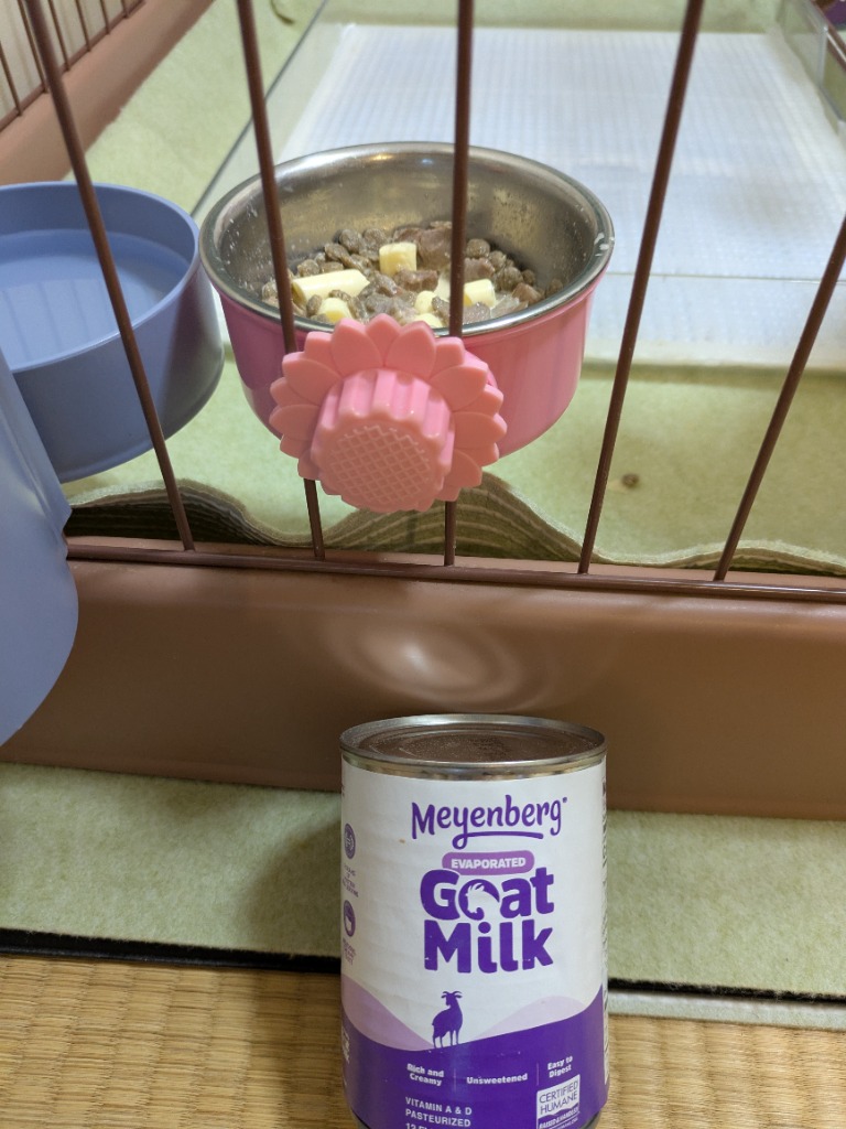6個セット Meyenberg メインバーグ エバゴートミルク 354ml 無糖