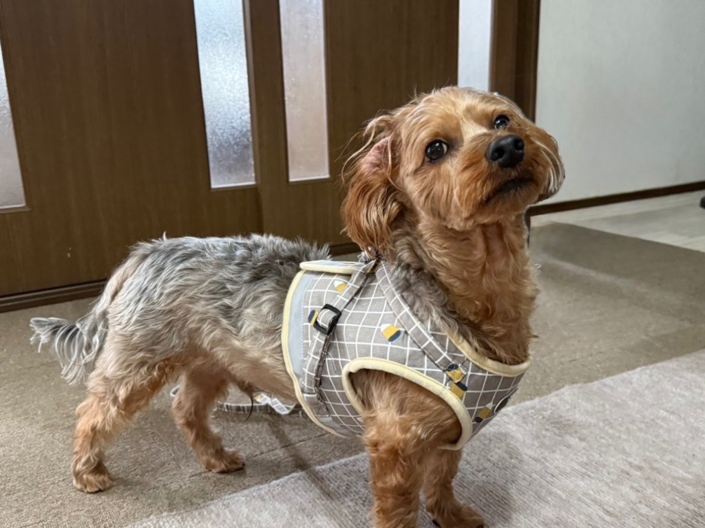 1件目のレビュー画像 | 0