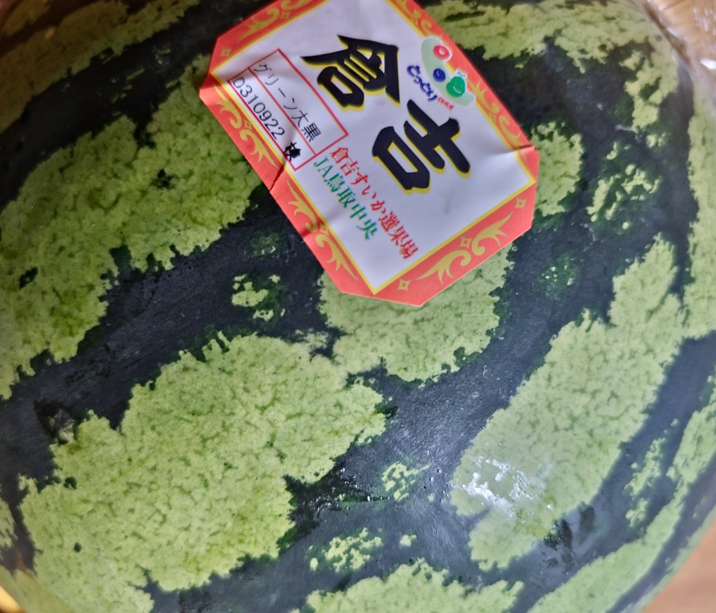 鳥取県産 ”倉吉すいか” 秀・優品 大玉 特サイズ 1玉 約11kg 贈呈
