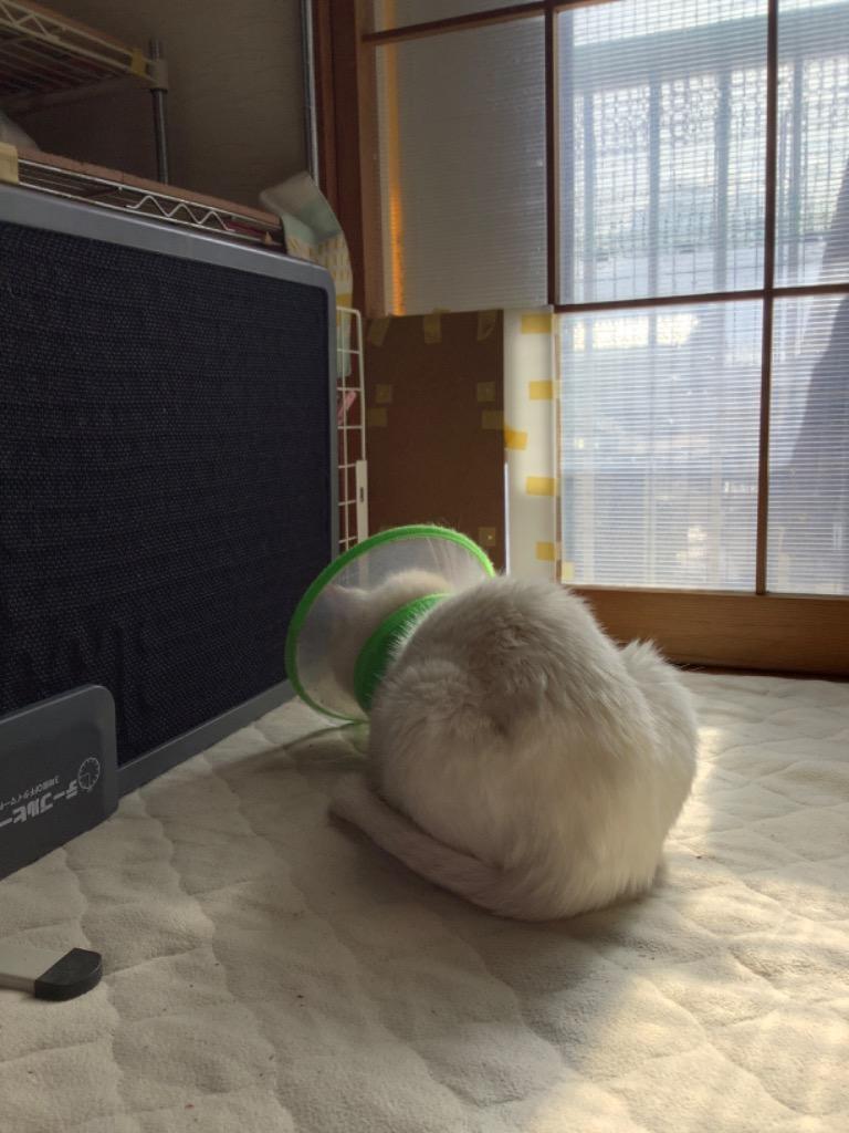 全体のレビュー画像 | 1-2