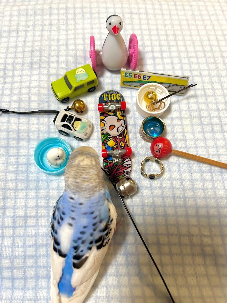 全体のレビュー画像 | 0-0