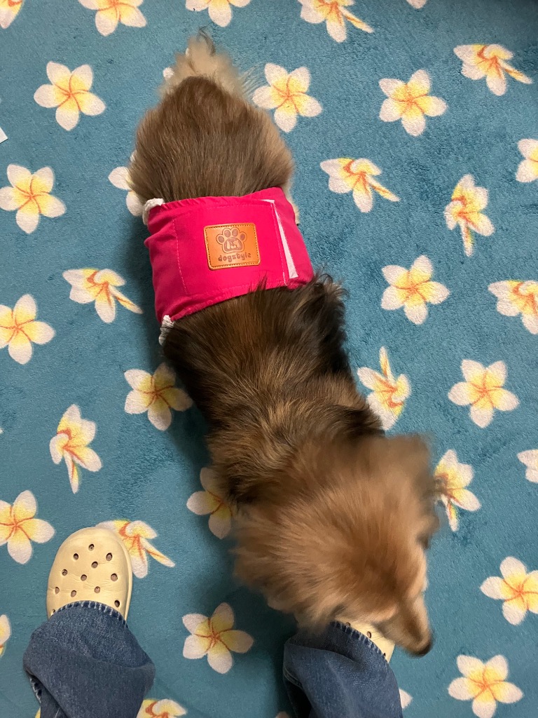 全体のレビュー画像 | 1-0