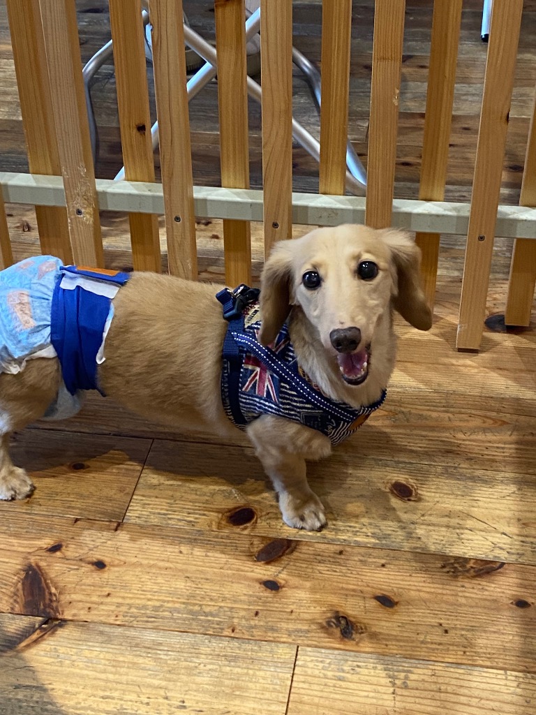 全体のレビュー画像 | 7-0