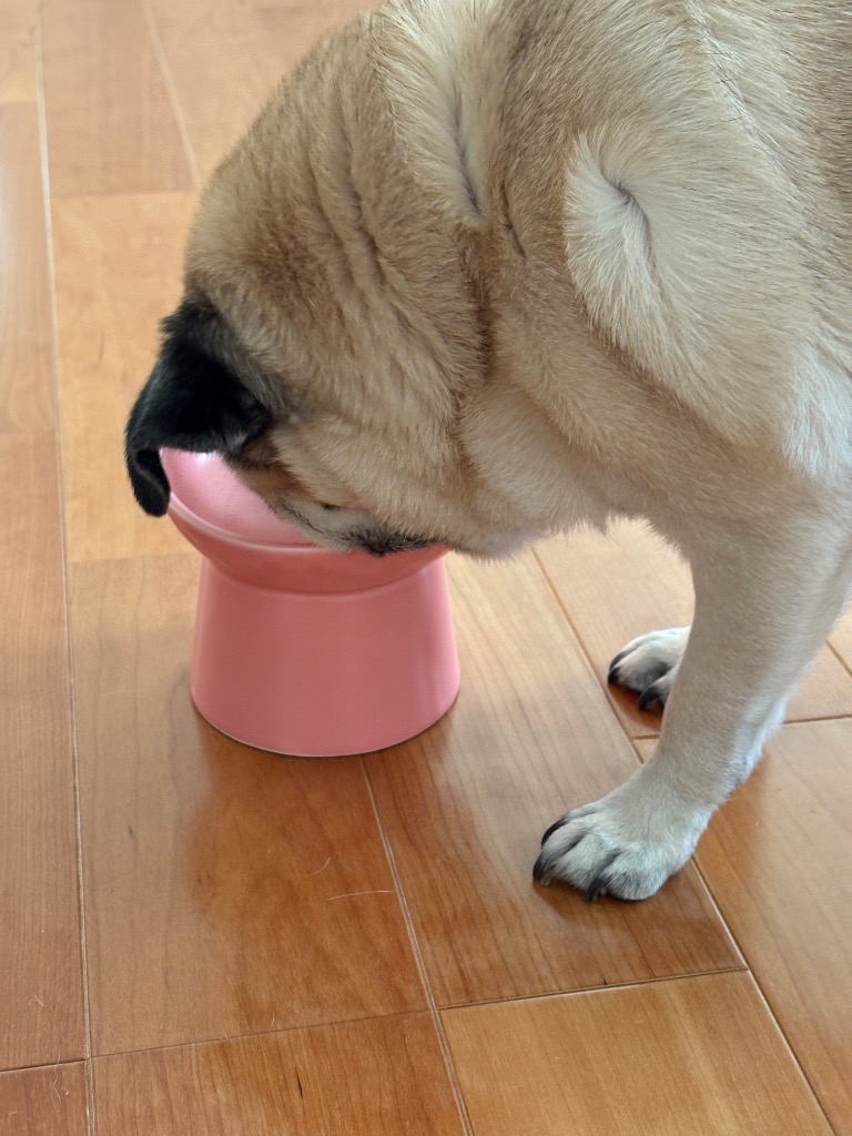 全体のレビュー画像 | 4-1