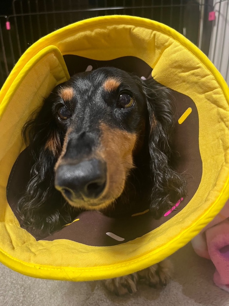 全体のレビュー画像 | 0-0