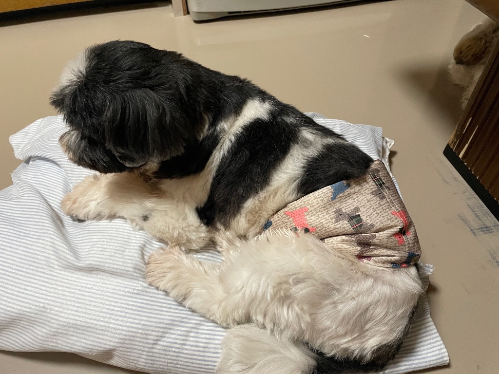 全体のレビュー画像 | 6-0