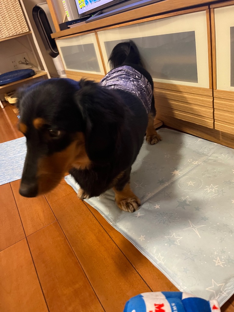 全体のレビュー画像 | 3-1