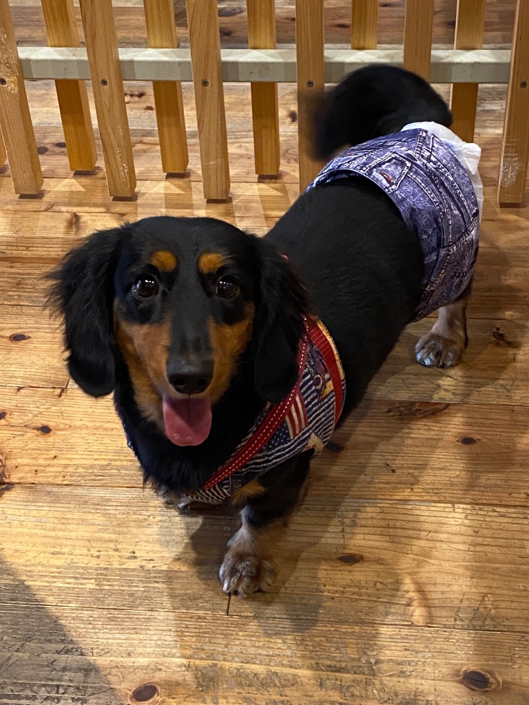 全体のレビュー画像 | 4-0