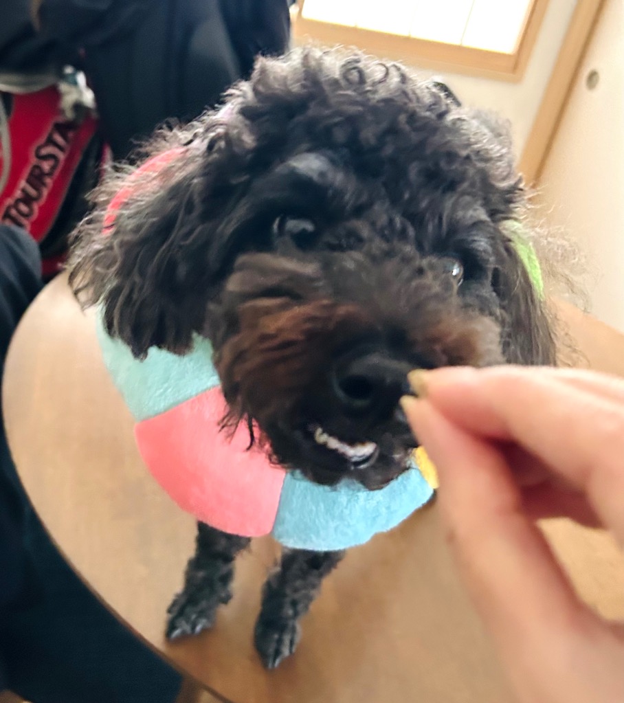 全体のレビュー画像 | 2-0