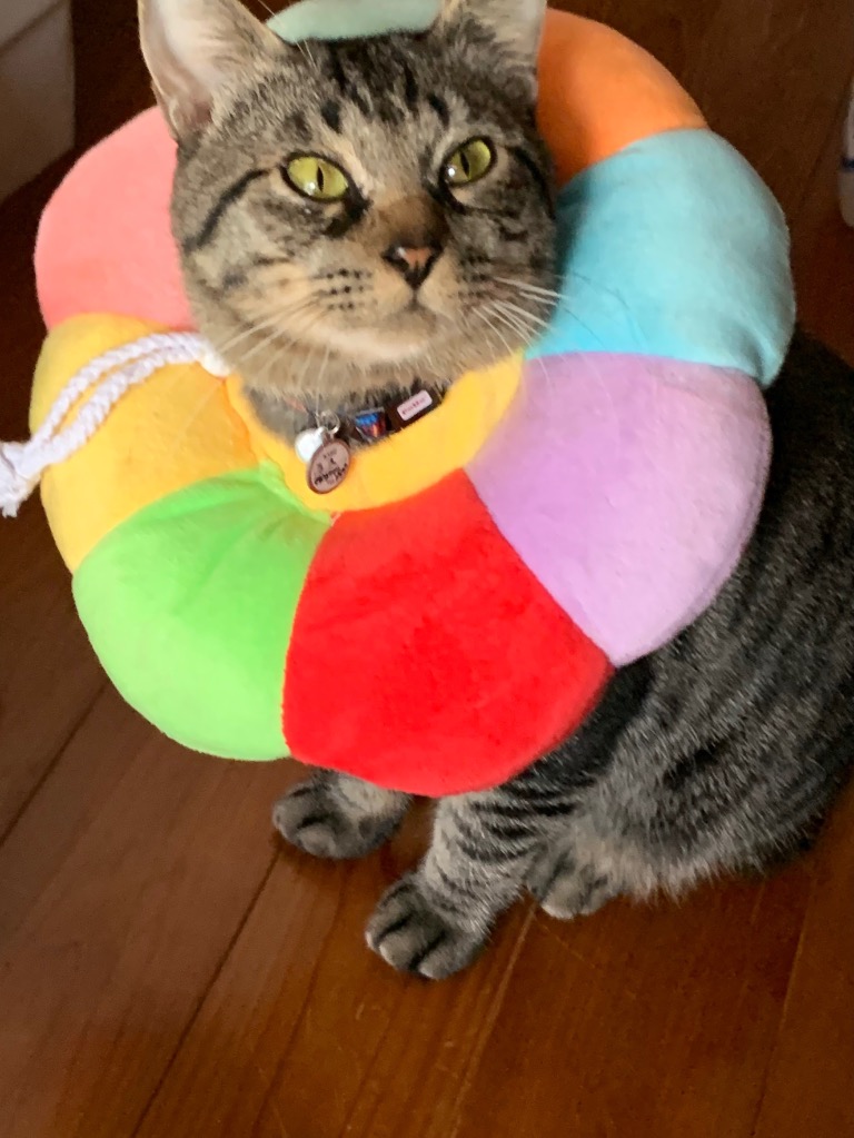 全体のレビュー画像 | 4-3