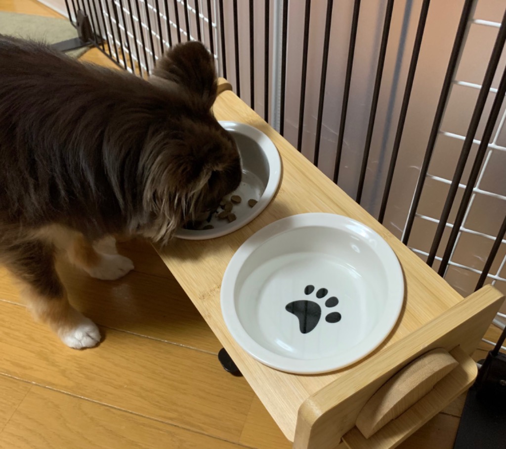 全体のレビュー画像 | 8-0